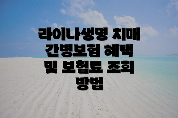 라이나생명 치매 간병보험 혜택 및 보험료 조회 방법