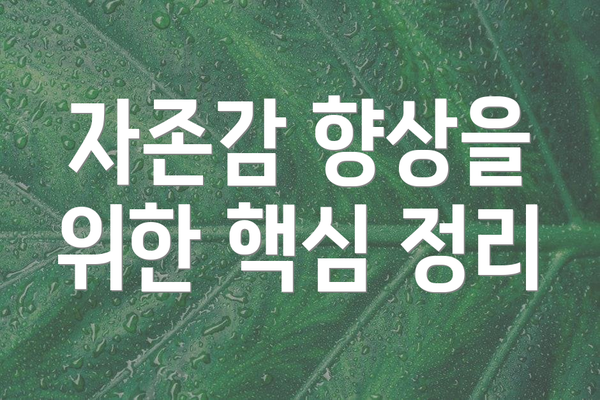 자존감 향상을 위한 핵심 정리