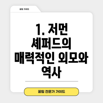1. 저먼 셰퍼드의 매력적인 외모와 역사