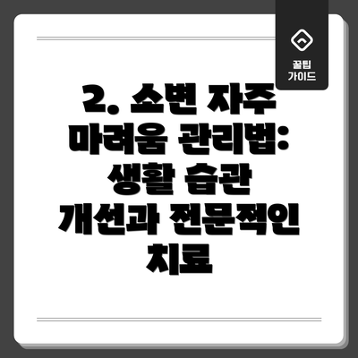 2. 소변 자주 마려움 관리법: 생활 습관 개선과 전문적인 치료