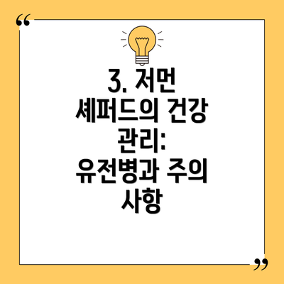 3. 저먼 셰퍼드의 건강 관리: 유전병과 주의 사항