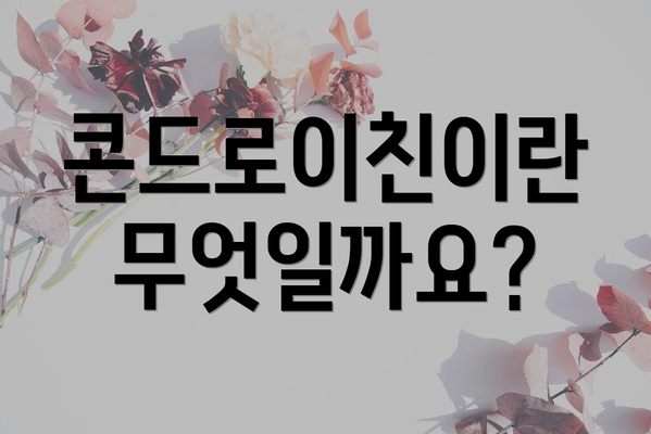 콘드로이친이란 무엇일까요?