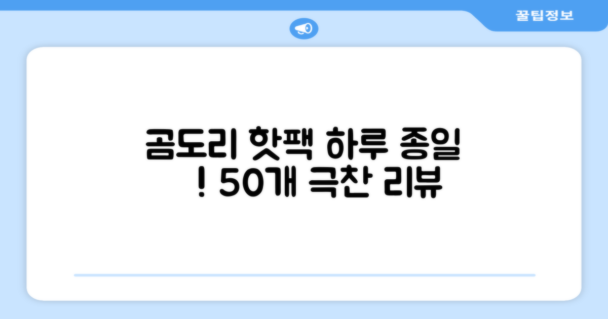 곰도리 하루종일 촥~ 붙이는 핫팩 장시간 고급형, 50개 추천 리뷰