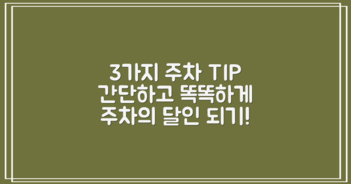 3가지 주차 팁